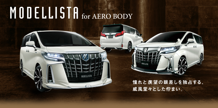 MODELLISTA for AERO BODY