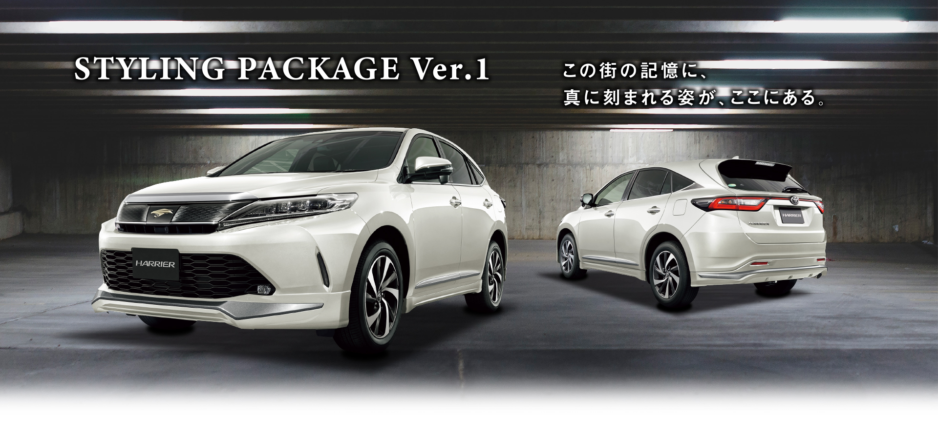 STYLING PACKAGE Ver.1