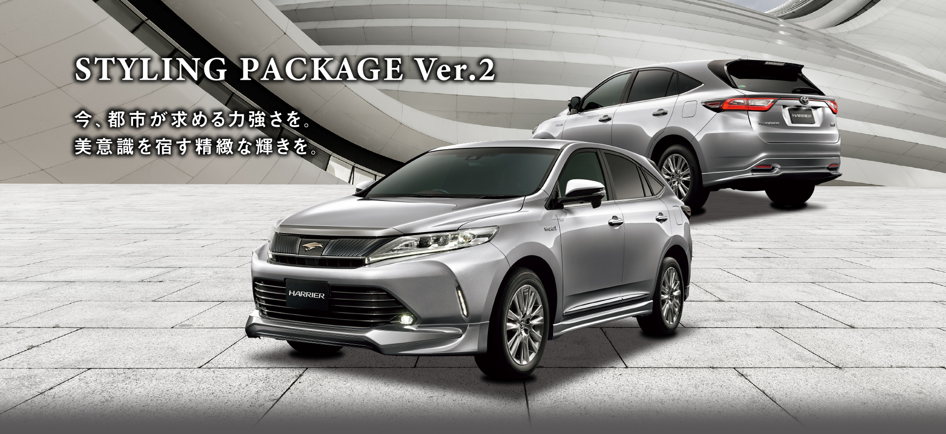 STYLING PACKAGE Ver.2