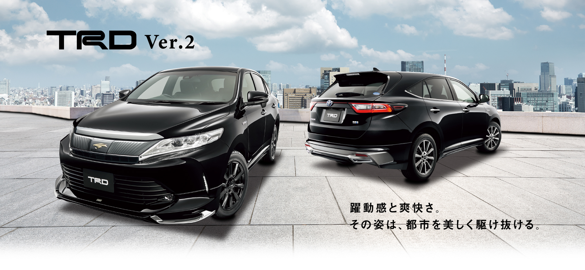 TRD Ver.2