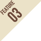 FEATURES03