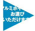 冬のお出かけ準備は万全ですか？ BRIDESTONE アルミホイールをお選びいただけます