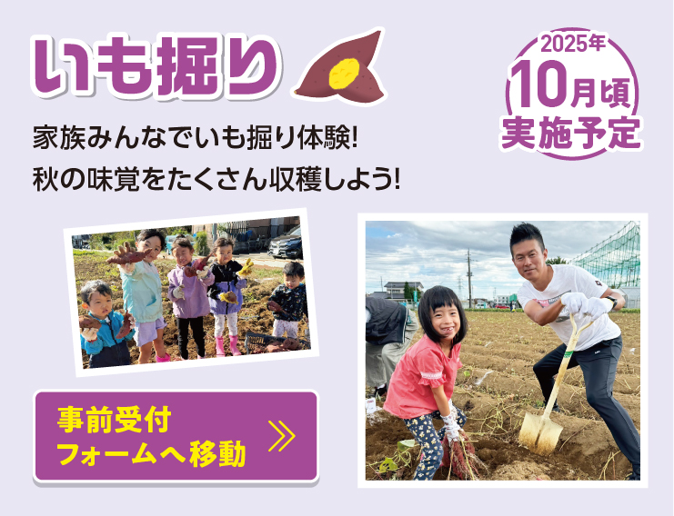 いも掘り