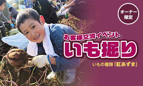 いも掘り
