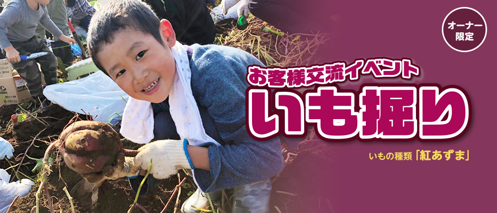 いも掘り