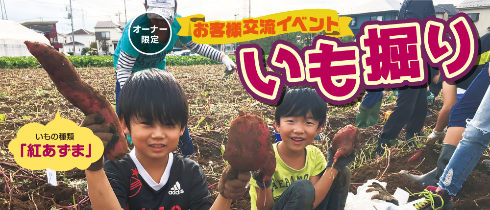 いも掘り