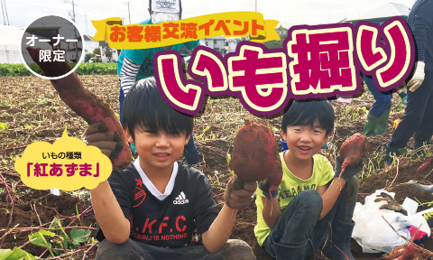 いも掘り