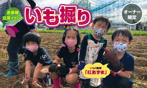 いも掘り