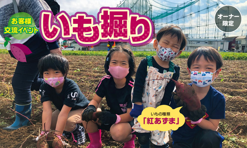 いも掘り