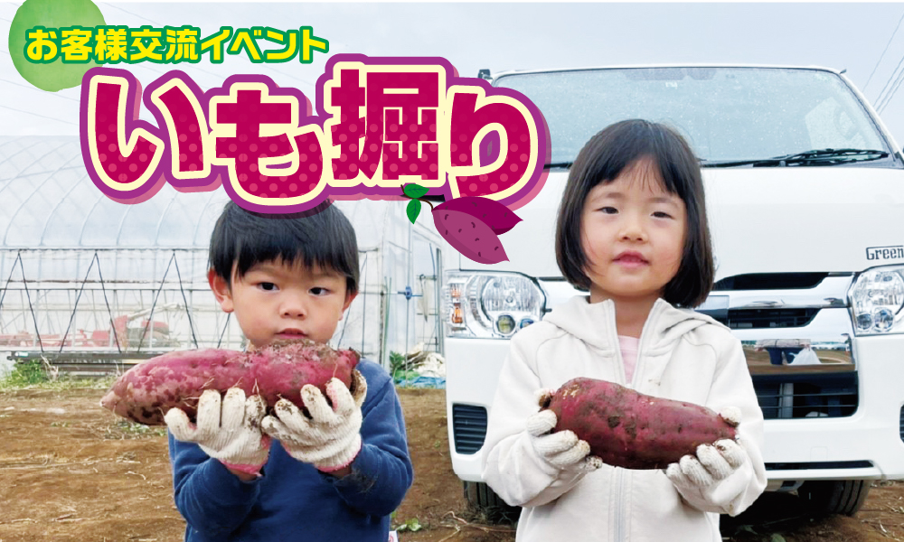いも掘り