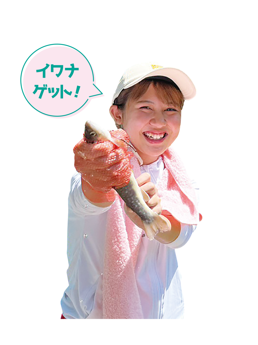 イワナゲット！