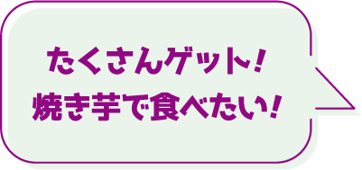 たくさんゲット！焼き芋で食べたい！