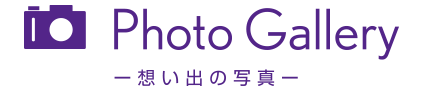 日帰りバスで行く成田山初詣 フォトギャラリー