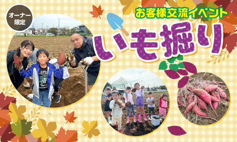 お客様交流イベント   いも掘り